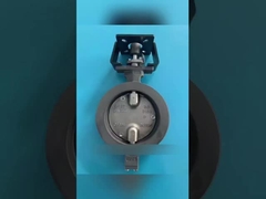 Apa itu katup kupu-kupu bermotor