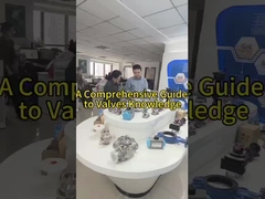 Mengapa pelanggan lebih suka katup Fabia?