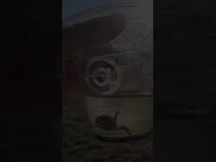 50mm 400mm 300mm Carbon Steel Flanged Ventilasi Klep Kupu-kupu